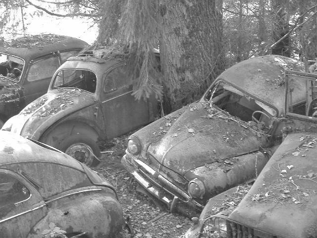 Autofriedhof - 124.JPG - Historischer Autofriedhof,    Gürbetal (CH)